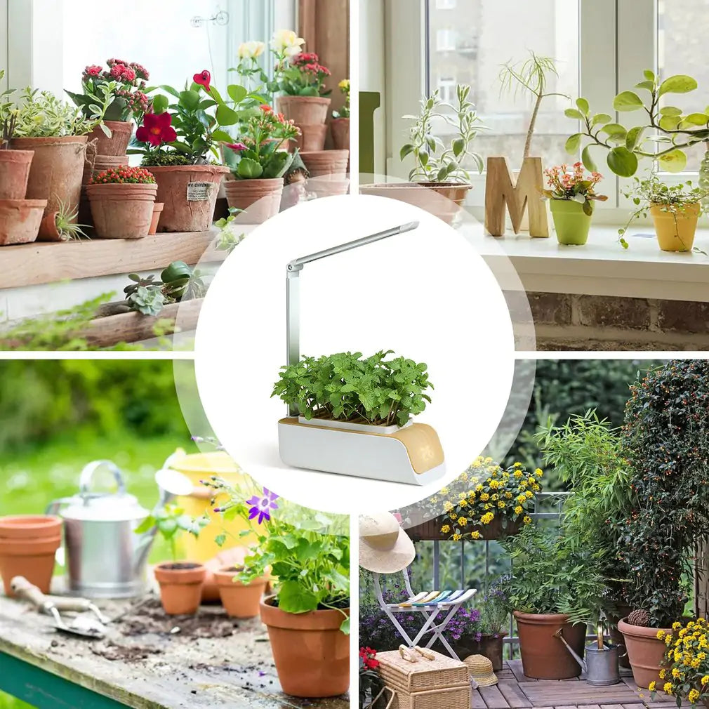 Smart Grow Planter with LED Grow Technology