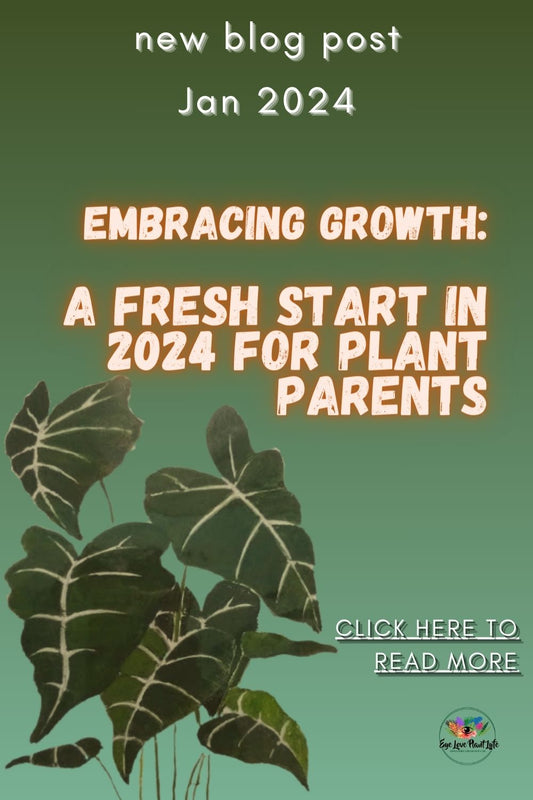 January 2024 Blog Post:   Embracing Growth- A Fresh Start in 2024 for Plant Parents