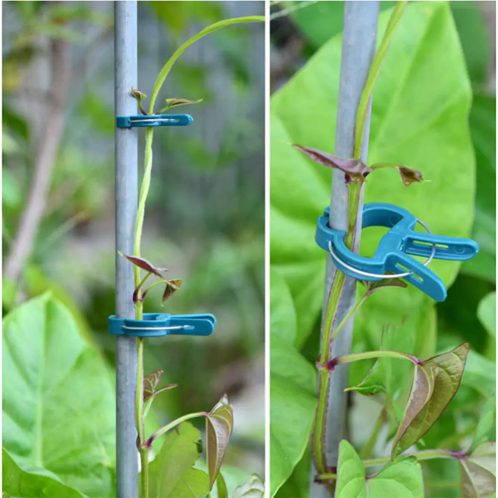 Reusable Plant Clips